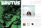 2006_Brutus10